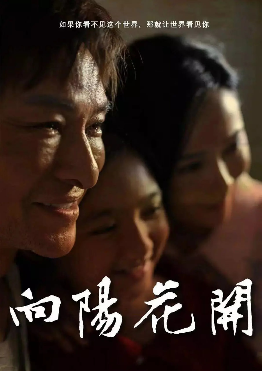 向阳花开 2024封面图