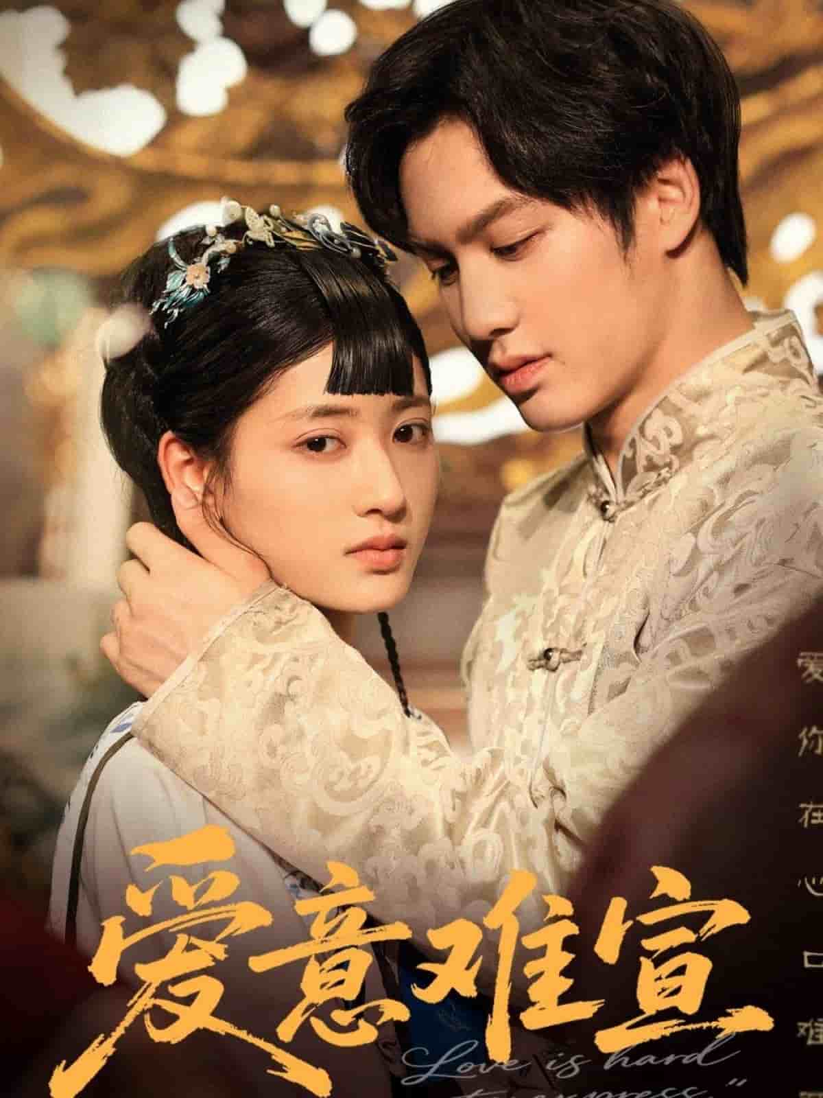 爱意难宣海报图