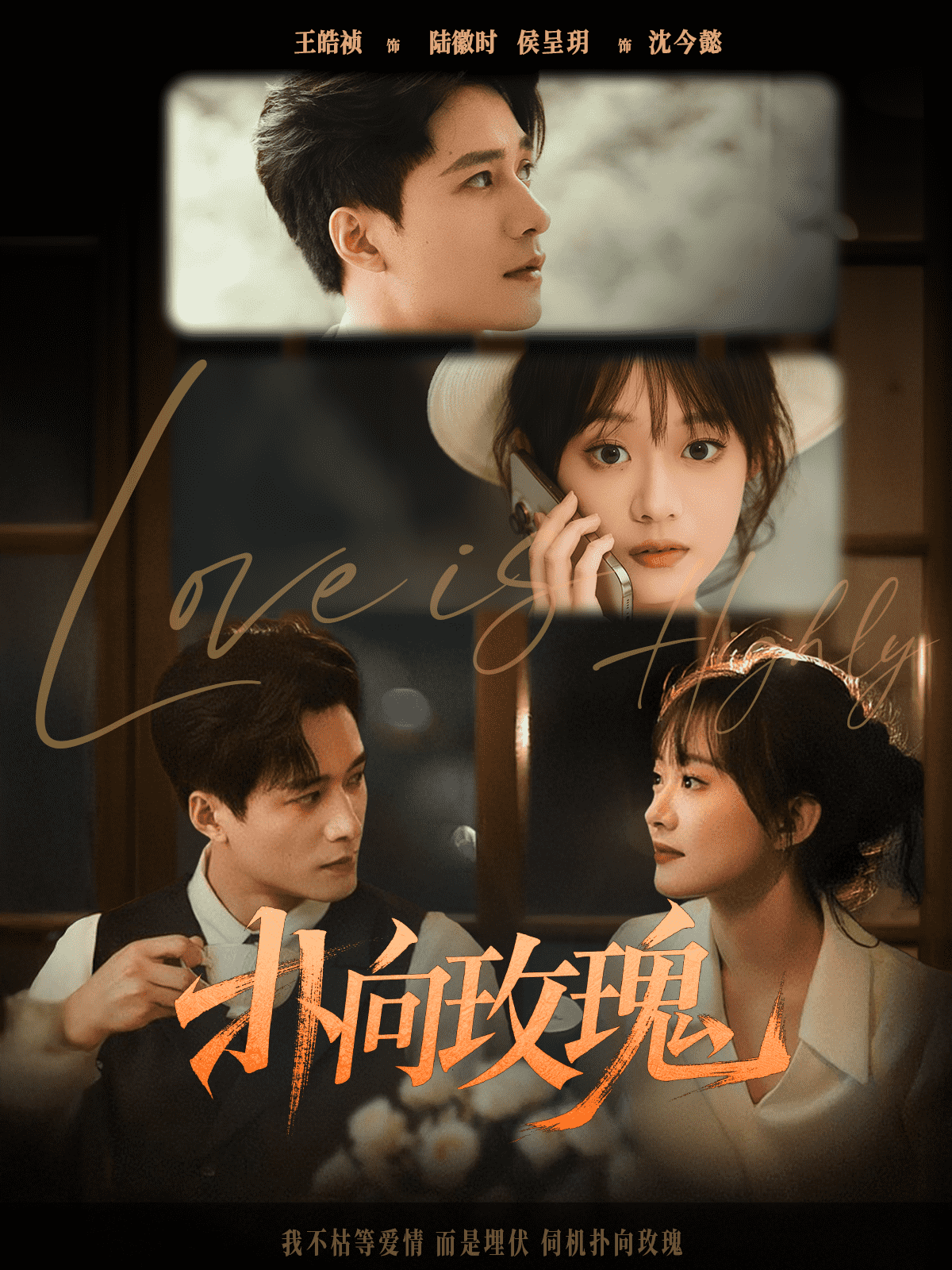 扑向玫瑰封面图