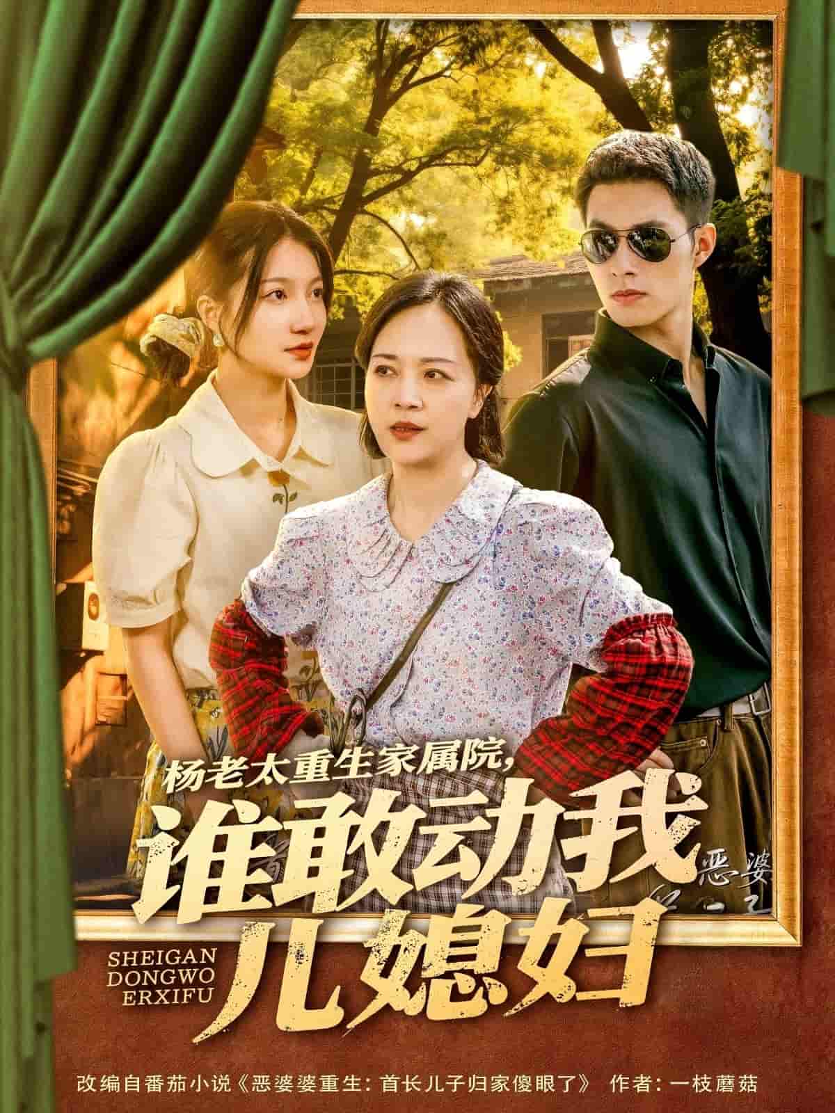 杨老太重生家属院，谁敢动我儿媳妇海报图