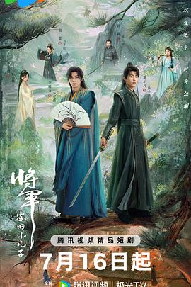 将军家的小儿子海报图