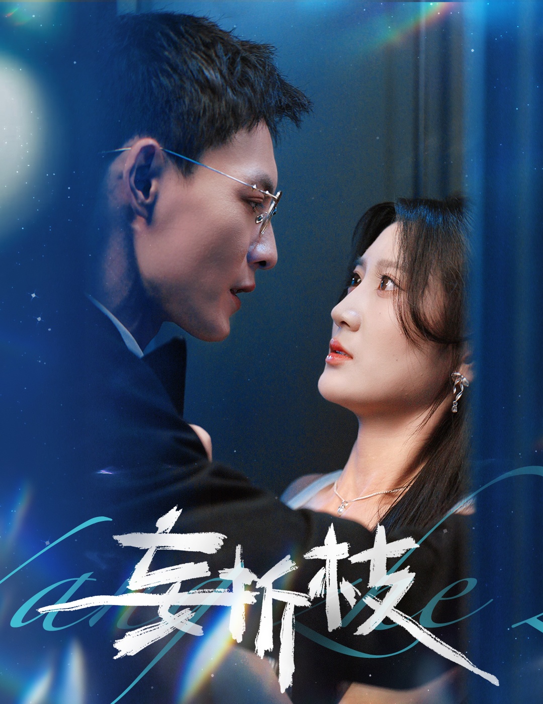 妄折枝未删减版封面图