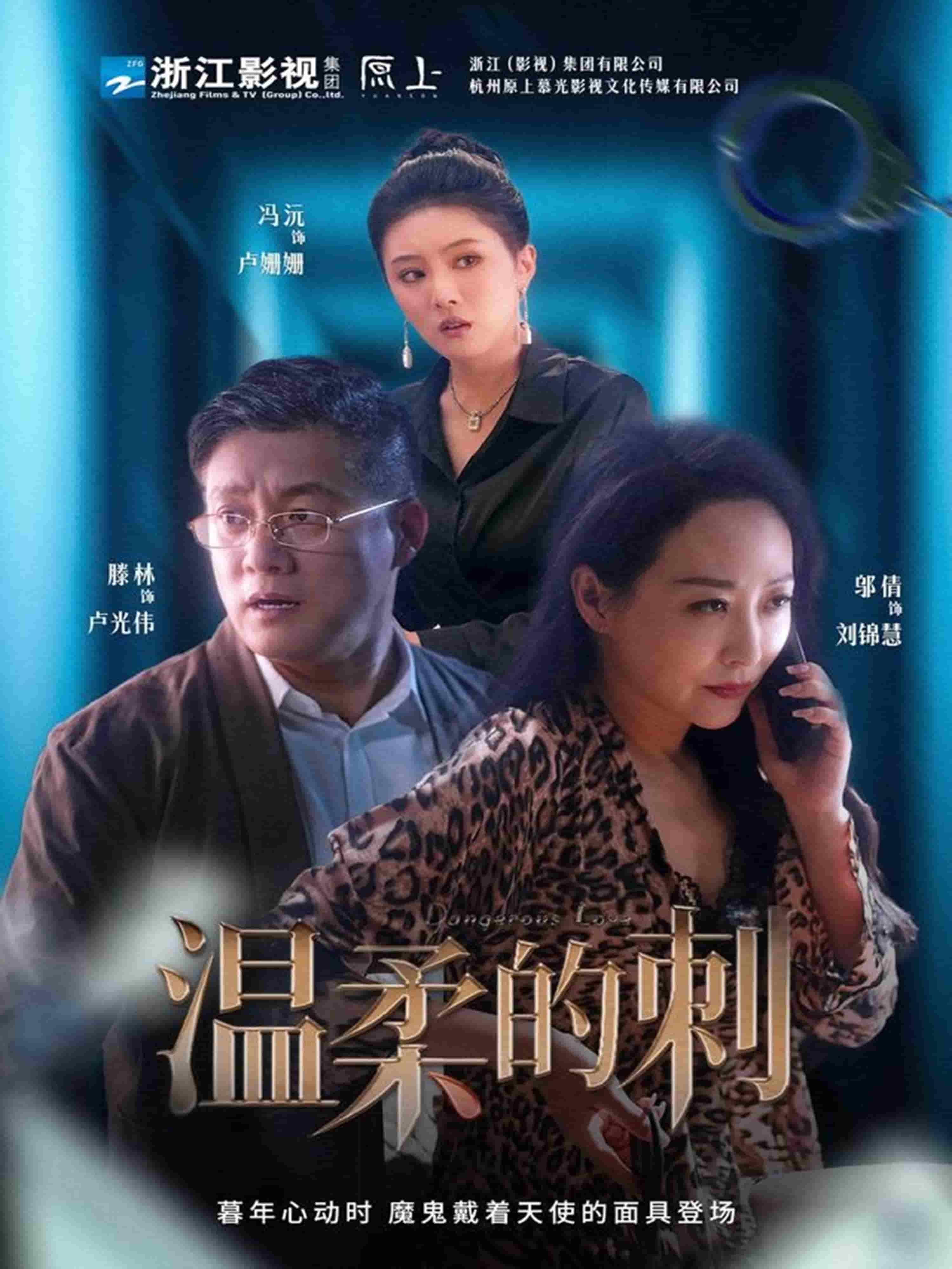 温柔的刺海报图