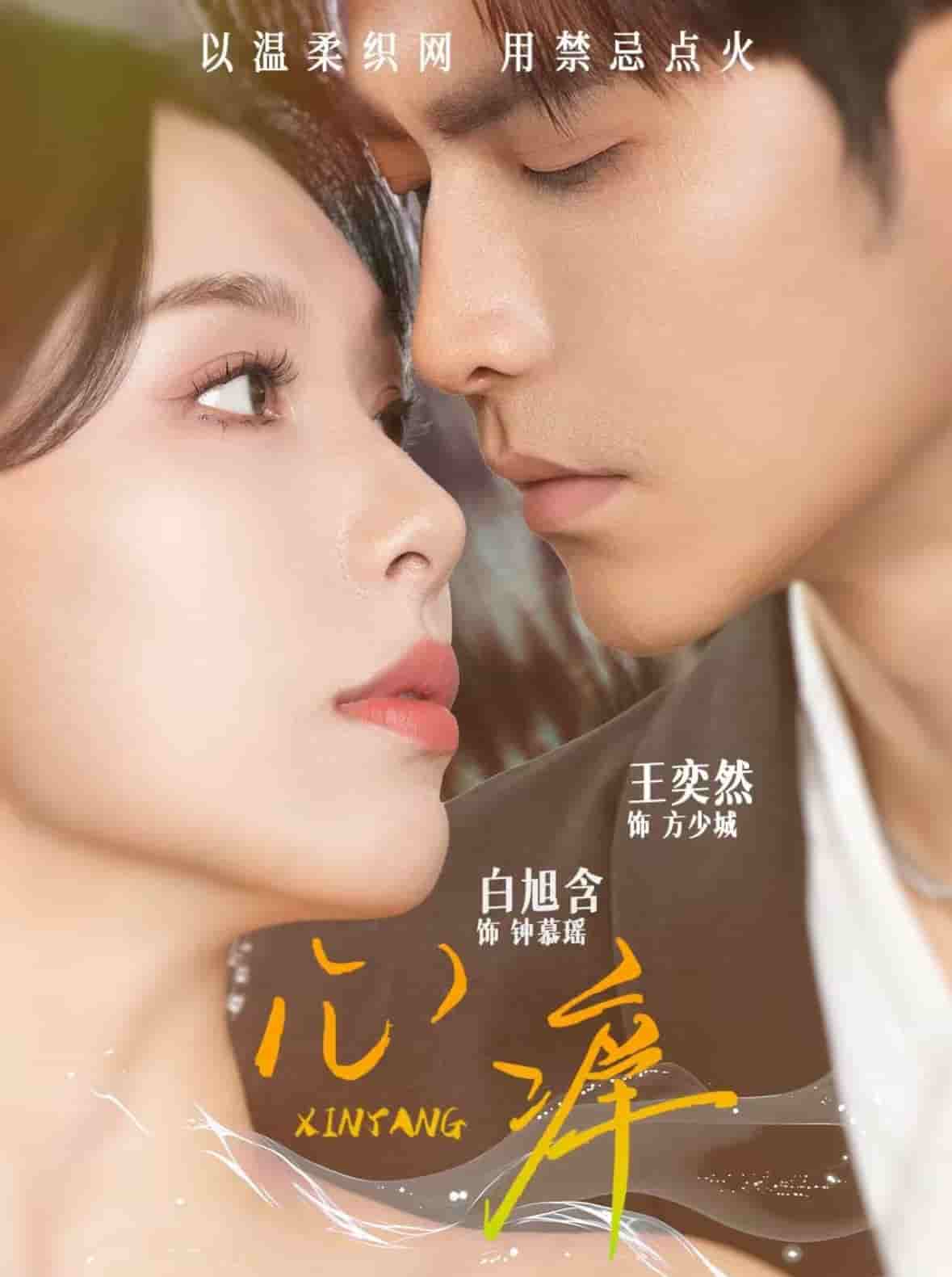 心痒封面图