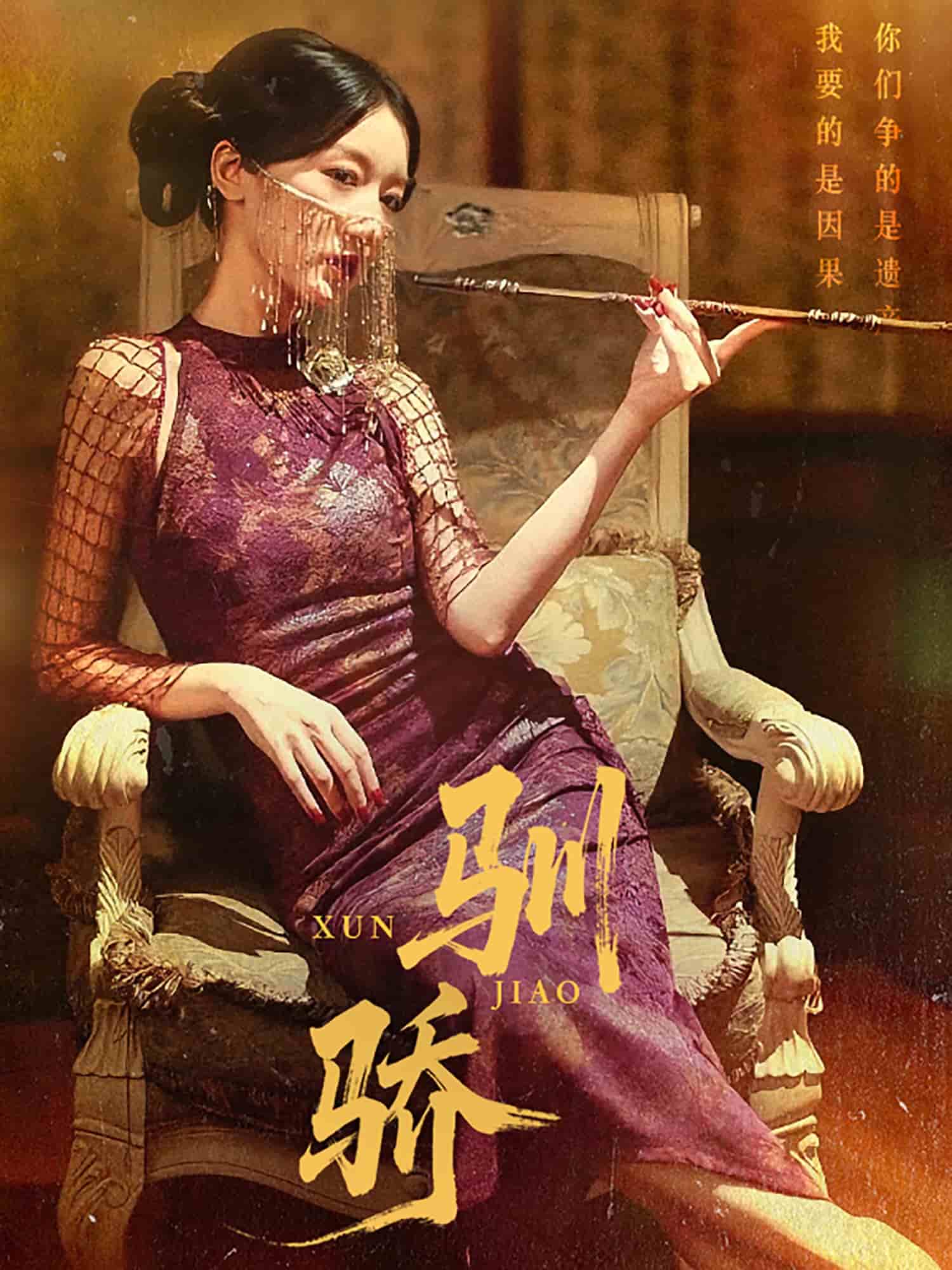 驯骄海报图