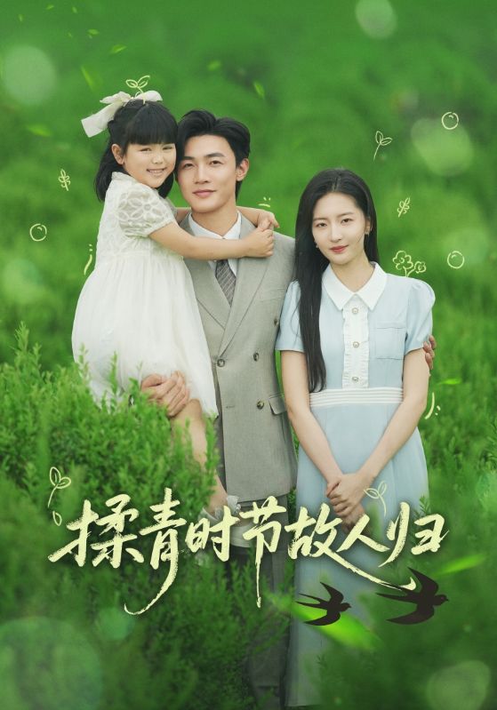 揉青时节故人归海报图