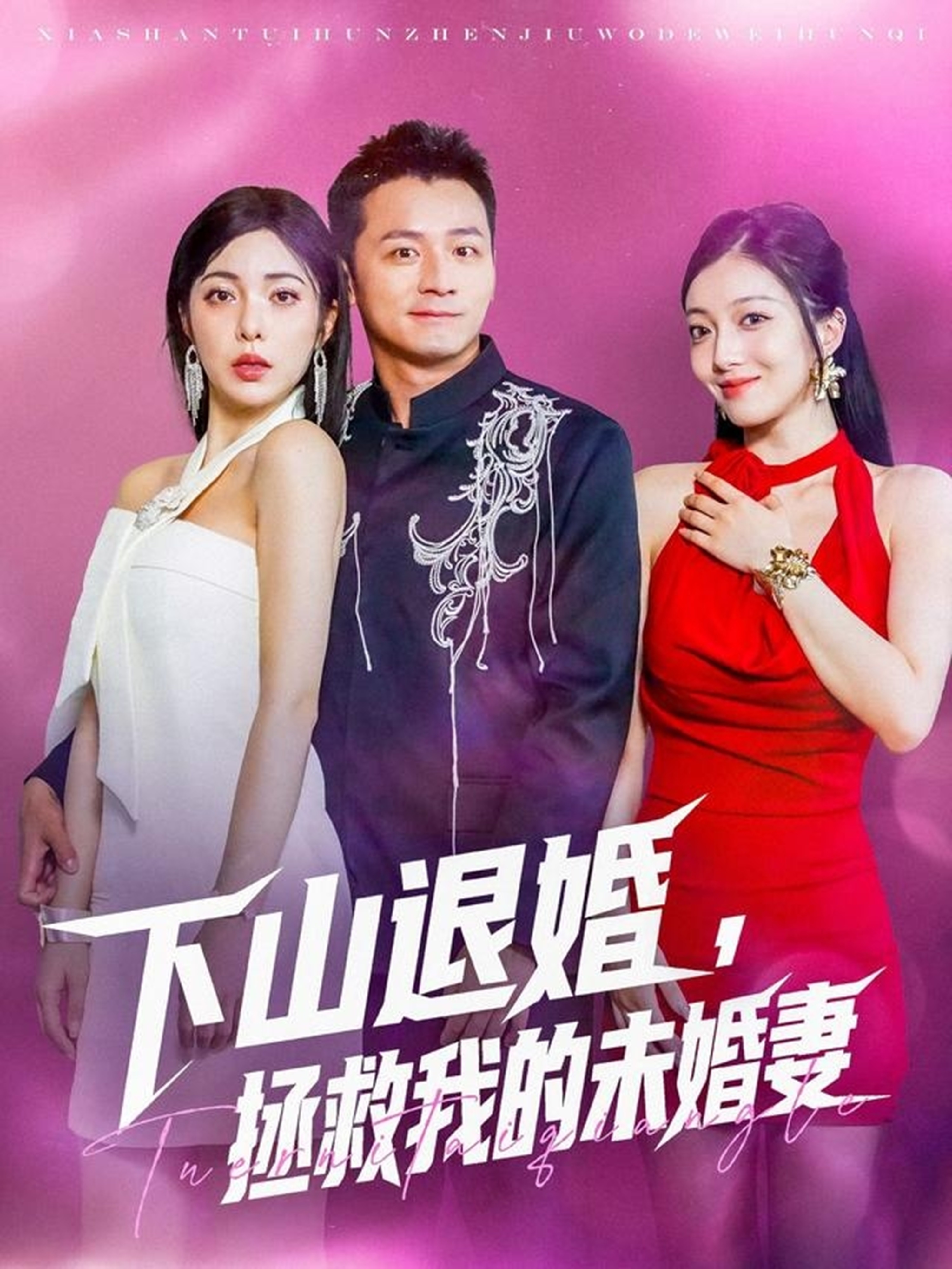 下山退婚拯救我的未婚妻海报图