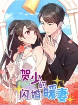 贺少的闪婚暖妻 动态漫第一季海报图