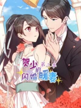 贺少的闪婚暖妻 动态漫第三季海报图