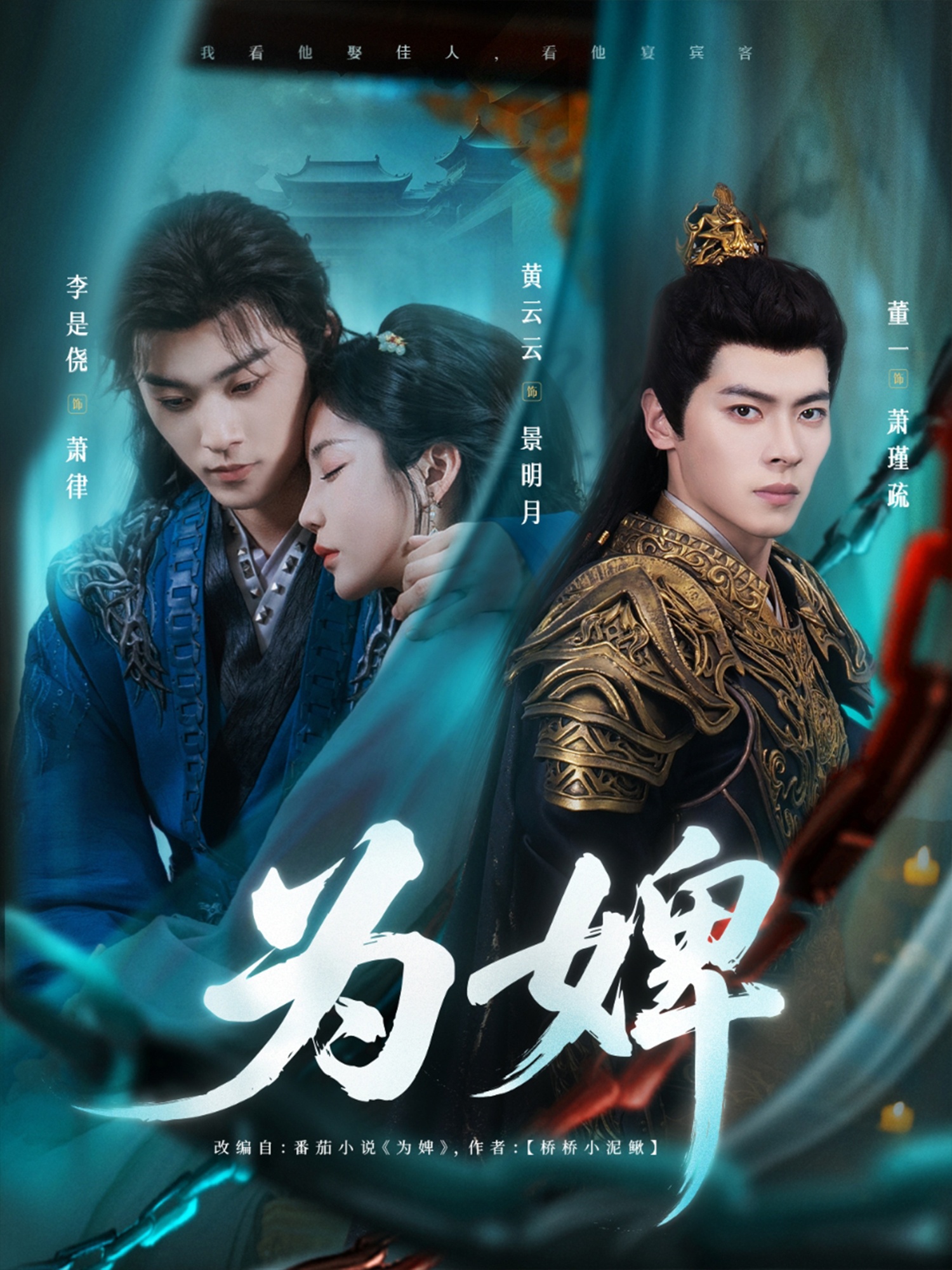 为婢封面图
