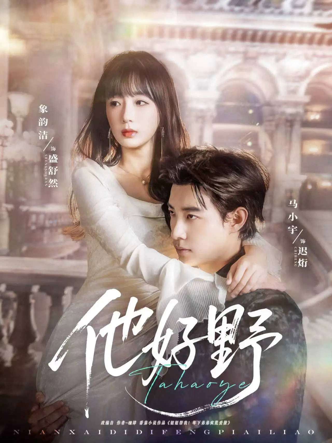 他好野海报图