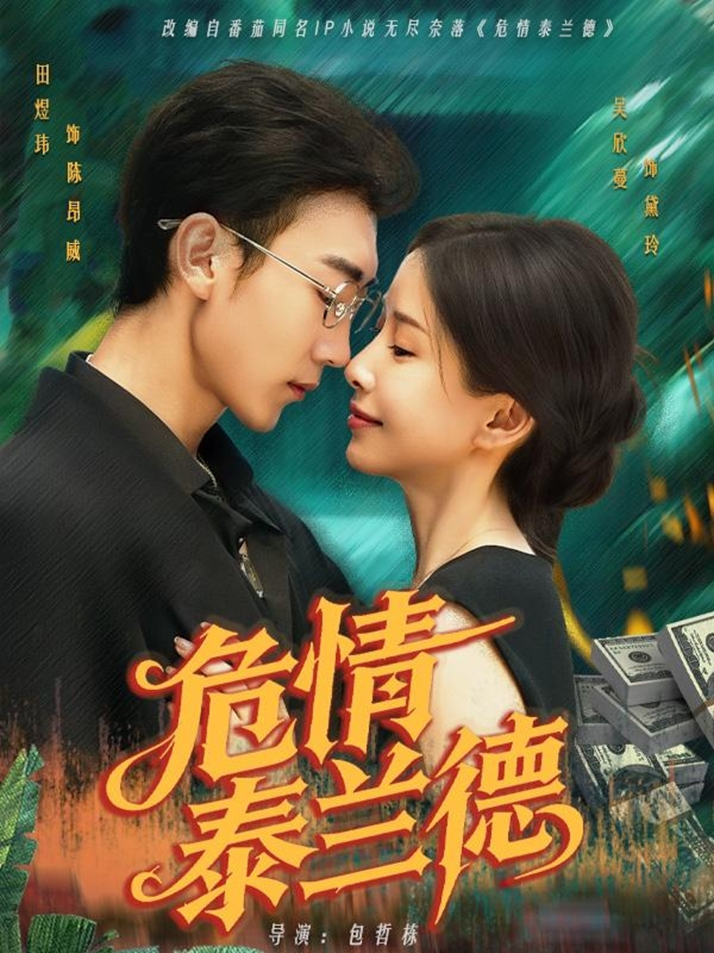 危情泰兰德海报图