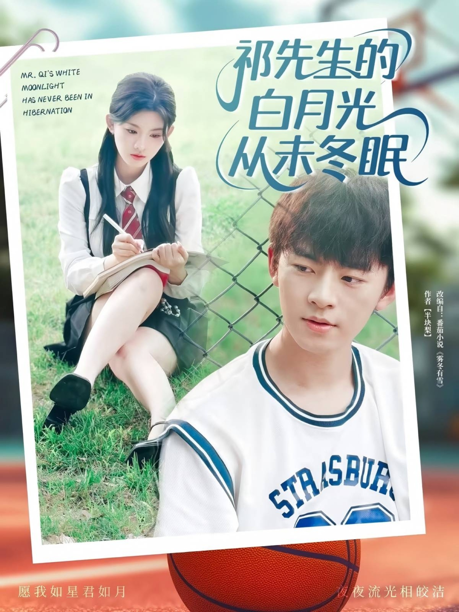 祁先生的白月光从未冬眠海报图