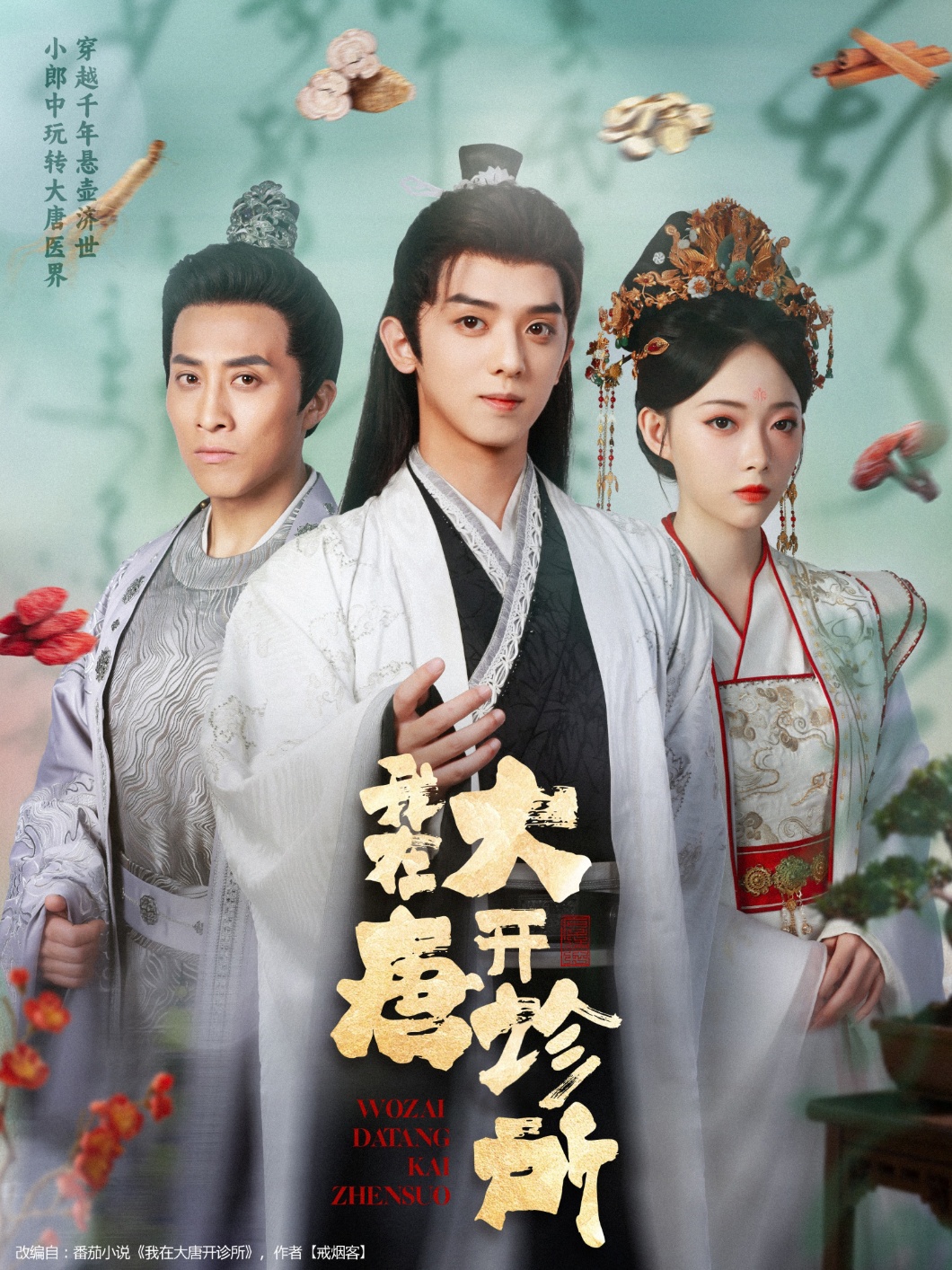 我在大唐开诊所海报图