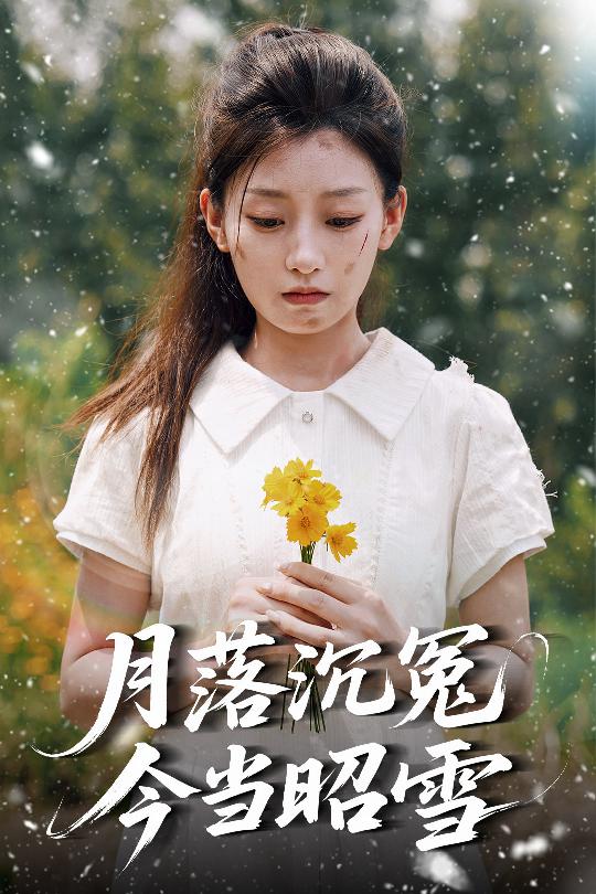 月落沉冤今当昭雪海报图