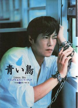 青鸟1997封面图