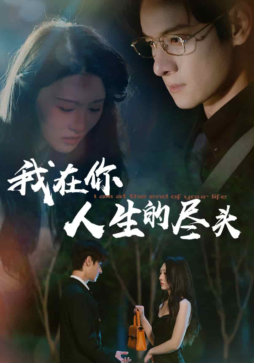 我在你人生的尽头海报图