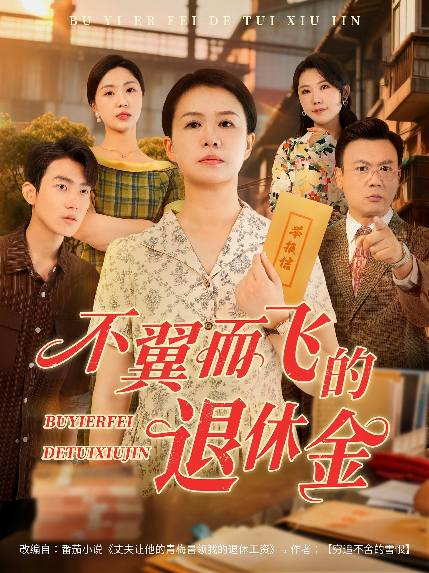不翼而飞的退休金海报图