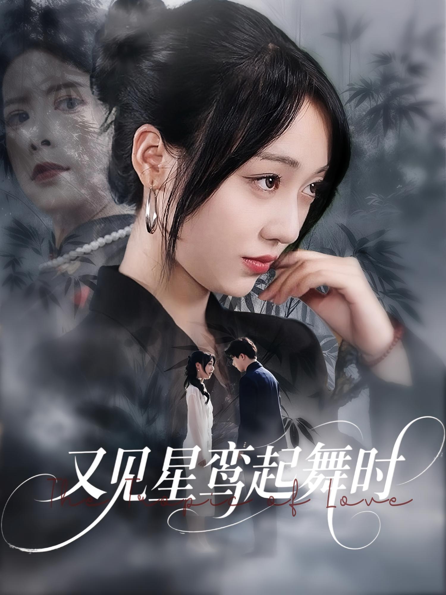 又见星鸾起舞时海报图