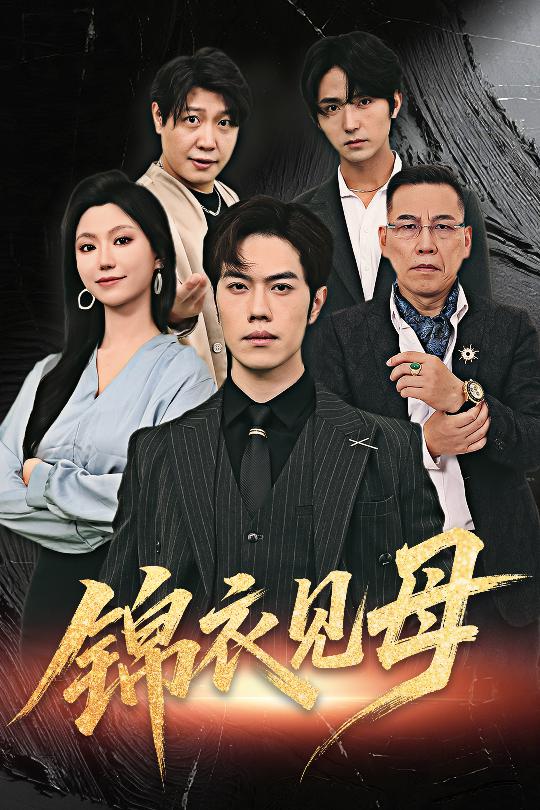 锦衣见母海报图