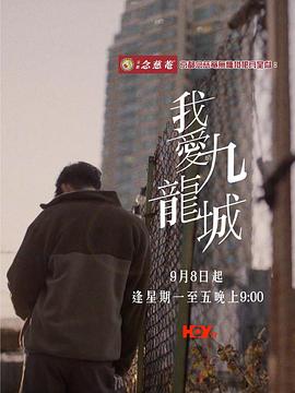 我爱九龙城封面图