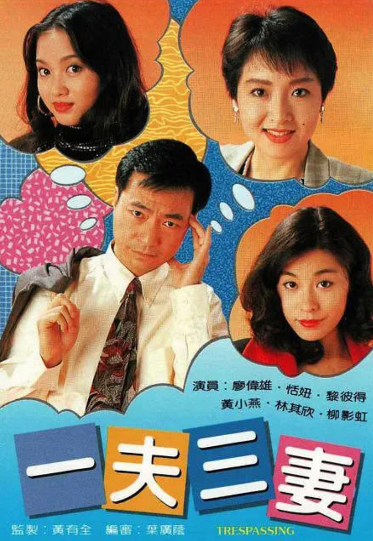 一夫三妻封面图