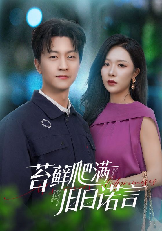 情途难负海报图