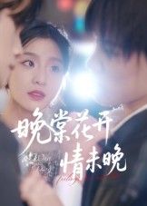 晚棠花开情未晚海报图