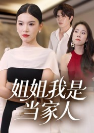 姐姐我是当家人海报图