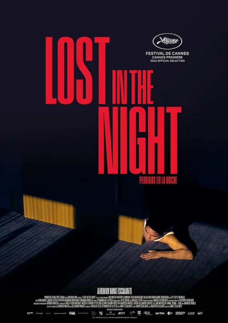 迷失暗夜封面图