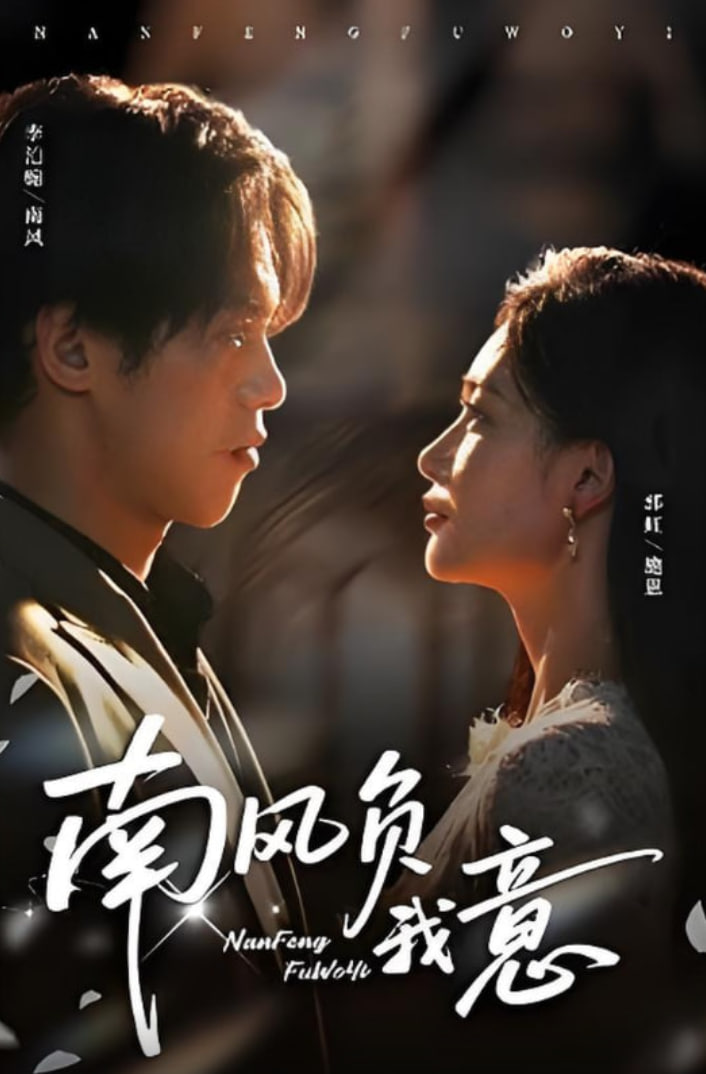 南风负我意海报图