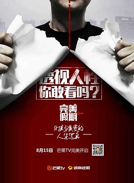 完美假期海报图
