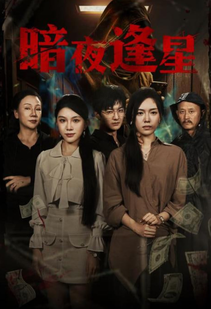 暗夜逢星海报图