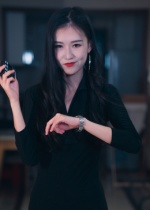 制裁者的游戏海报图