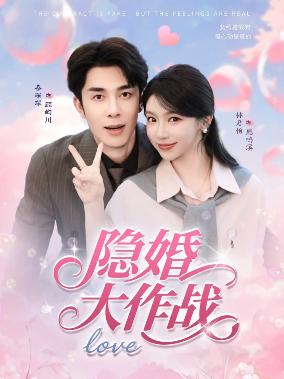 隐婚大作战海报图
