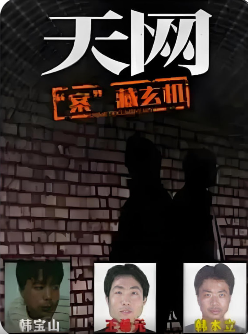 天网：“案”藏玄机海报图