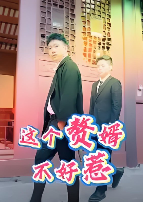 这个赘婿不好惹海报图