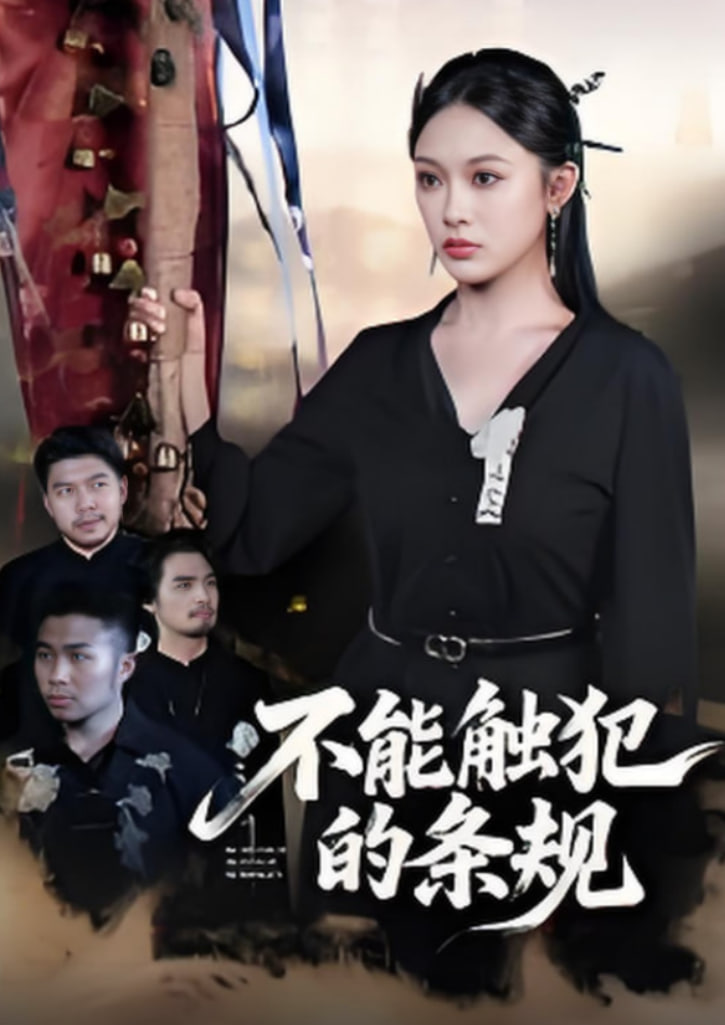 不能触犯的条规海报图
