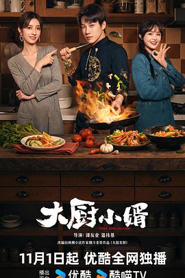 大厨小婿封面图