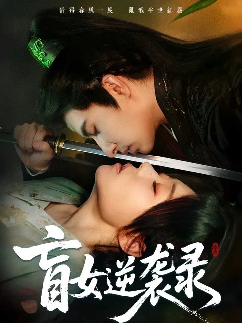 盲女逆袭录海报图