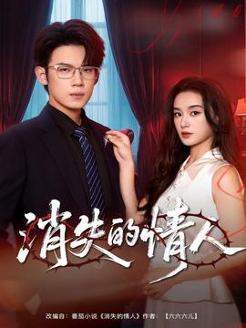 消失的情人海报图