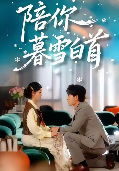 陪你暮雪白首海报图