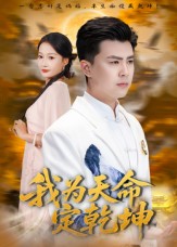 我为天命定乾坤海报图
