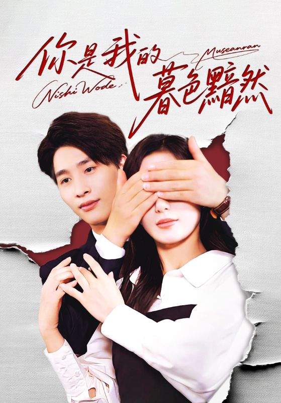 你是我的暮色黯然海报图