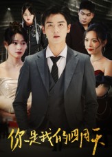 你是我的四月天海报图