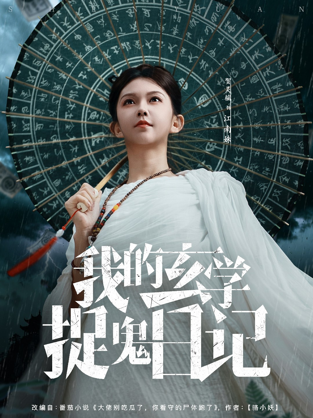 我的玄学捉鬼日记海报图