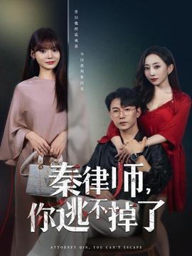 秦律师你逃不掉了海报图