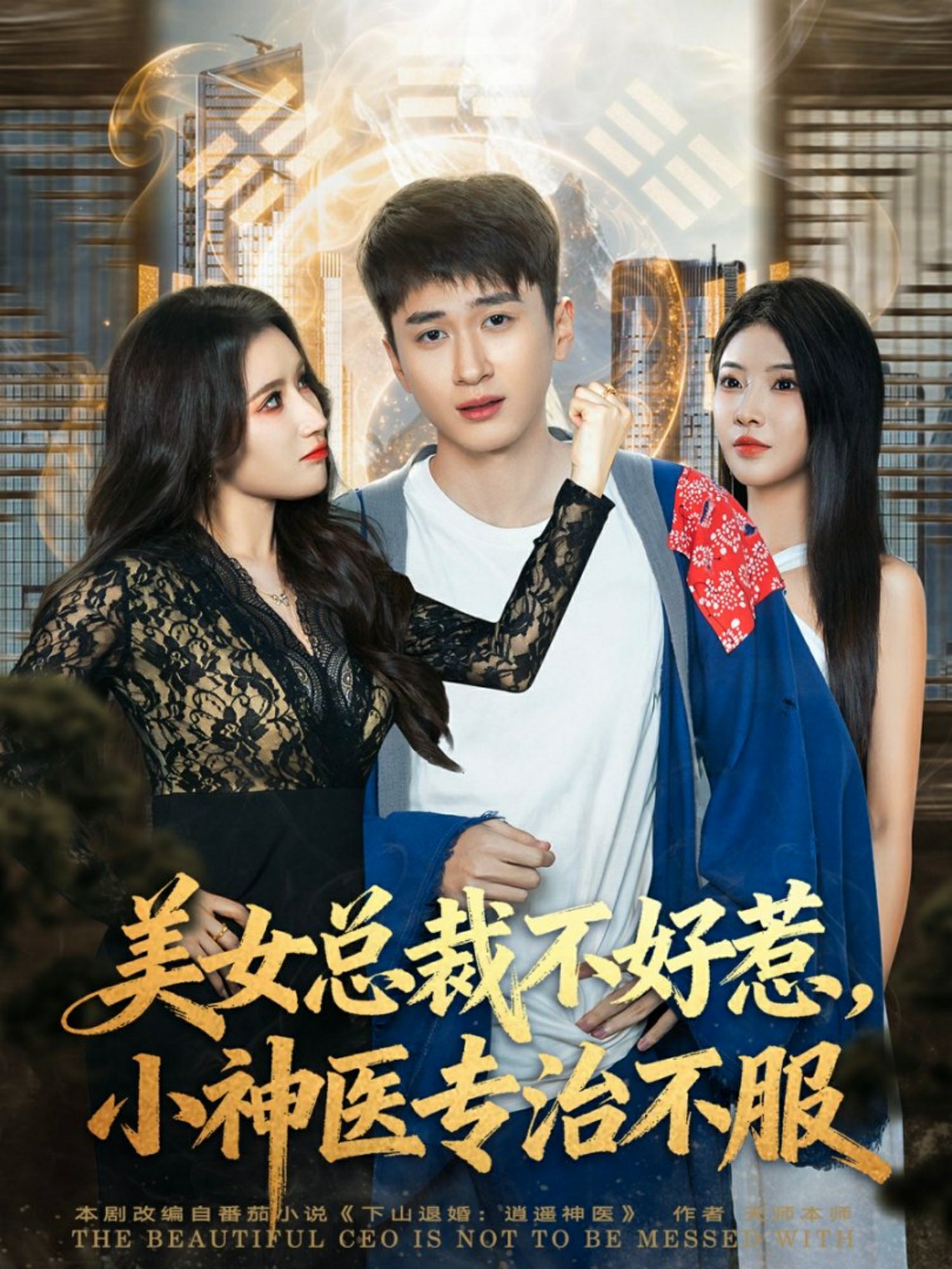 美女总裁不好惹，小神医专治不服海报图