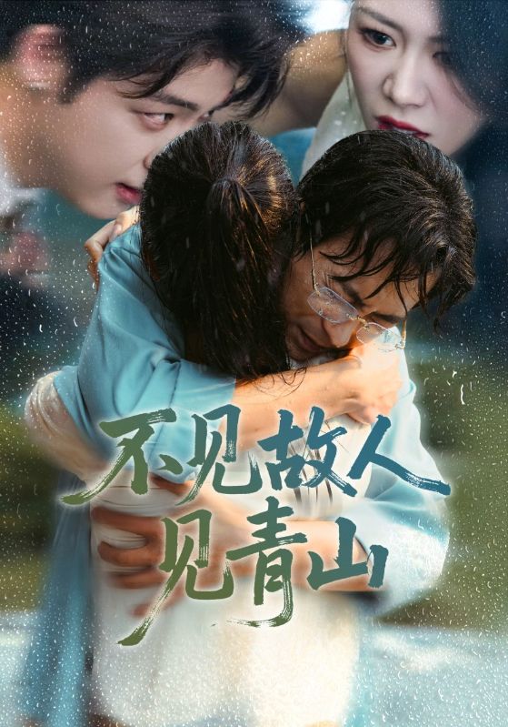 不见故人见青山海报图
