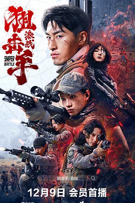 狙击手：激战封面图